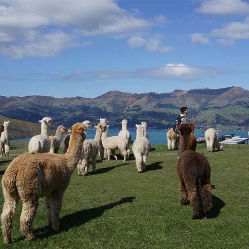 小程序,企業(yè)移動(dòng)辦公,OA,網(wǎng)站建設(shè),連云港網(wǎng)站,連云港網(wǎng)站開(kāi)發(fā)，系統(tǒng)開(kāi)發(fā)，微信開(kāi)發(fā)，微信公眾號(hào)，微信企業(yè)號(hào)，微信訂閱號(hào)，微信服務(wù)號(hào)開(kāi)發(fā),微教育